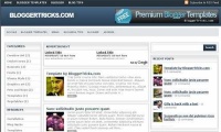 Freeprofessionallookblogspotbloggertemplate2009bluemagazine2columnfixedwidthwidgetready