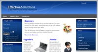 Effectivesolutions