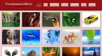 Image-gallery-blogspot-theme